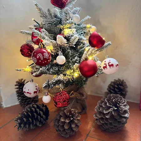 度假居 Valentina 卡武埃鲁